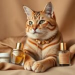 Warum Premium Futter